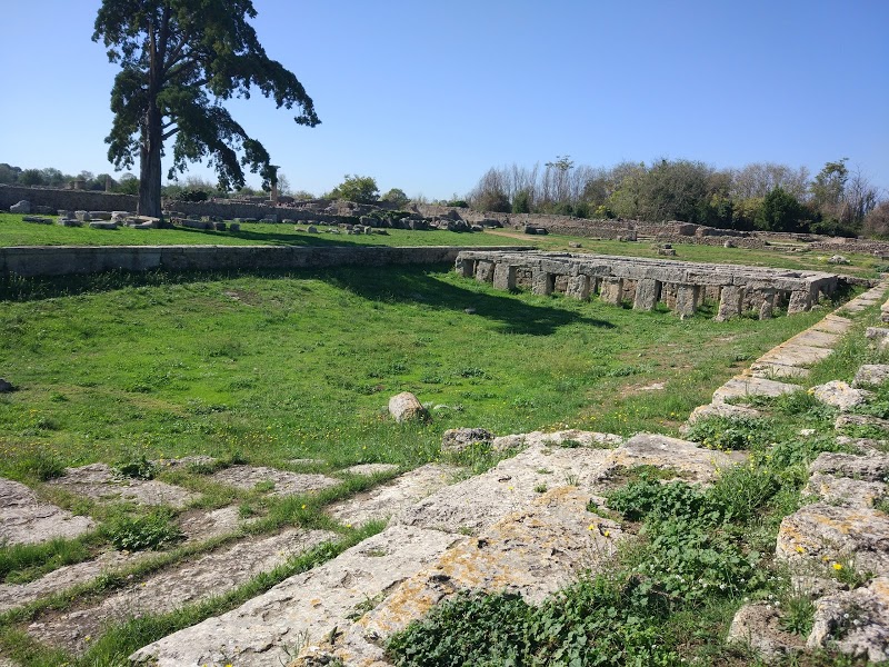 Gymnasium - Piscina/Swimming pool Via Magna Graecia, 947, 84047 Paestum SA, Italy