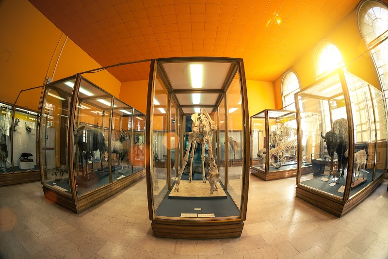 Milan Natural History Museum Corso Venezia, 55, 20121 Milano MI, Italy