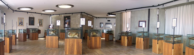 Museo delle Cere Anatomiche di Clemente Susini Piazza Arsenale, 1, 09126 Cagliari CA, Italy