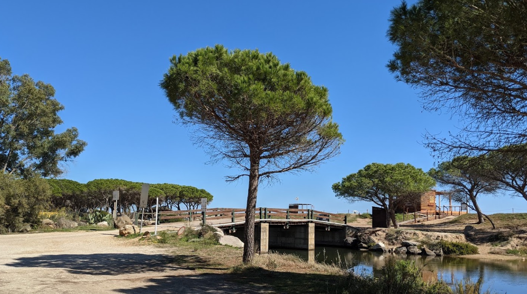 Spiaggia di Su Petrosu