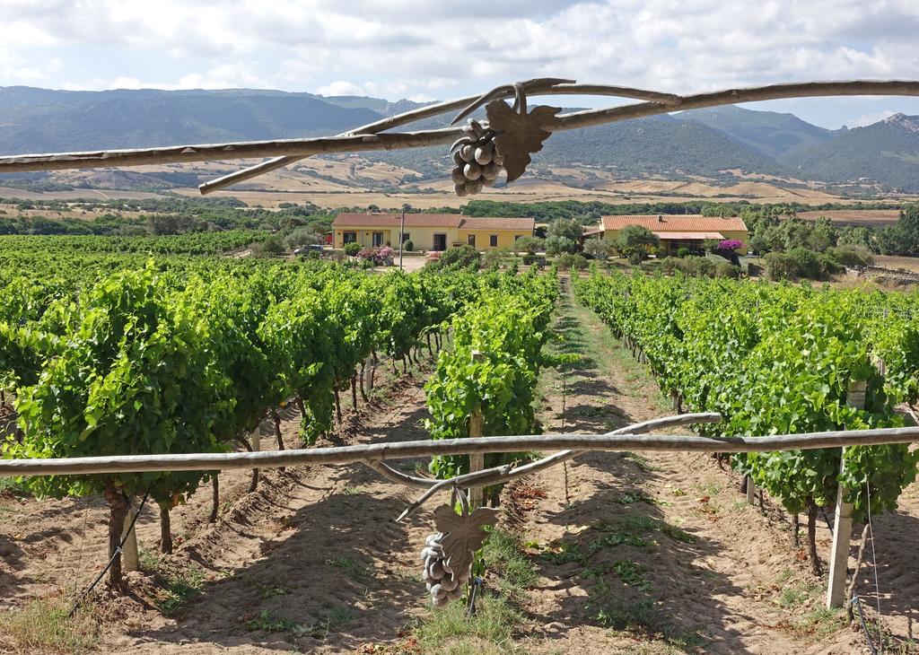 Agriturismo Campesi - Aglientu - Località Campesi-vignola Mare, Strada Provinciale 90 S.teresa Di Gallura-castelsardo AL Km 43, 07020 Aglientu, Italia