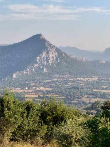 Agriturismo Conca' e Janas - Conca' e Janas - Strada Statale 125 km 211,65, 08020 Dorgali, Italia