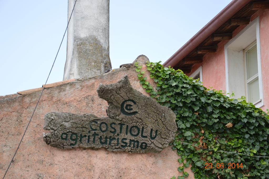 Agriturismo Costiolu - Nuoro - Strada Statale 389 Km 10, 600, 08100 Nuoro, Italia